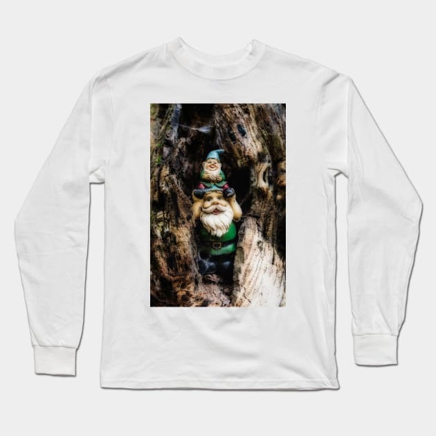 Woodland Gnomes 3 Long Sleeve T-Shirt by Robert Alsop